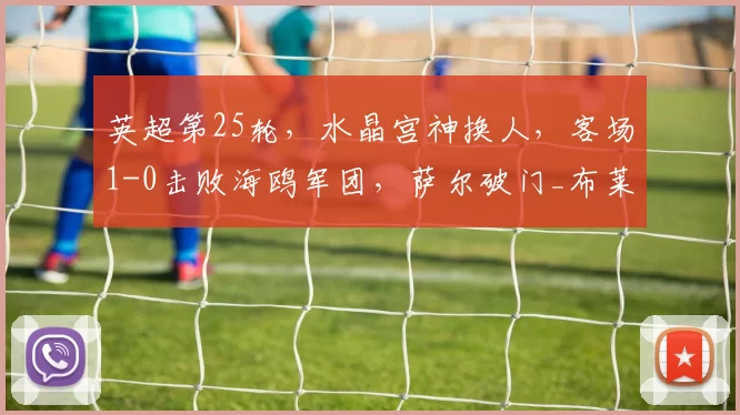 英超第25轮，水晶宫神换人，客场1-0击败海鸥军团，萨尔破门_布莱顿_比赛_机会