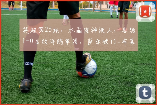 英超第25轮，水晶宫神换人，客场1-0击败海鸥军团，萨尔破门_布莱顿_比赛_机会