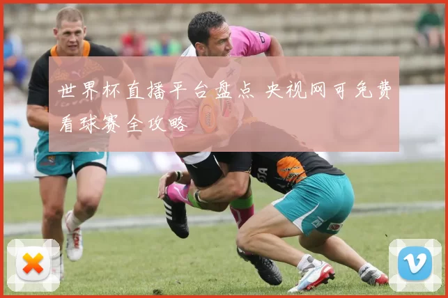 世界杯直播平台盘点 央视网可免费看球赛全攻略