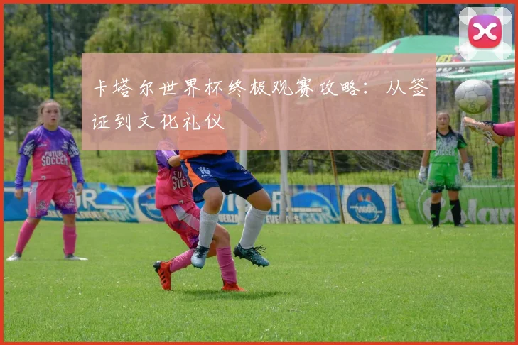 卡塔尔世界杯终极观赛攻略：从签证到文化礼仪