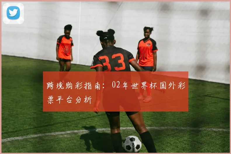 跨境购彩指南：02年世界杯国外彩票平台分析