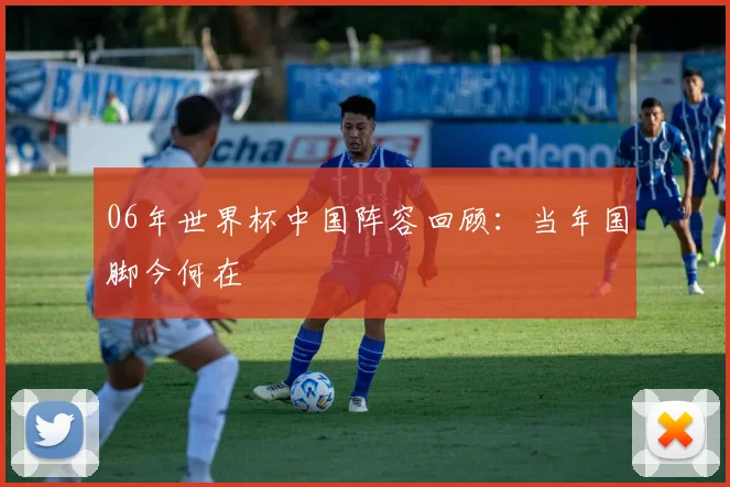 06年世界杯中国阵容回顾:当年国脚今何在